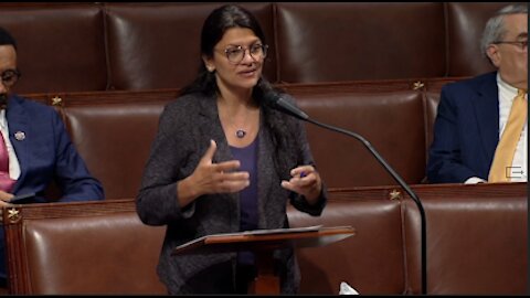 Rashida Tlaib believe that many people want to delete American history