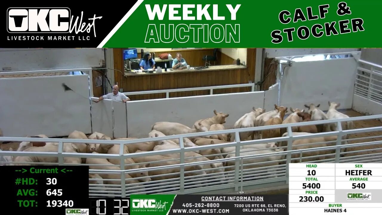 6/27/2023 - OKC West Calf and Stocker Auction