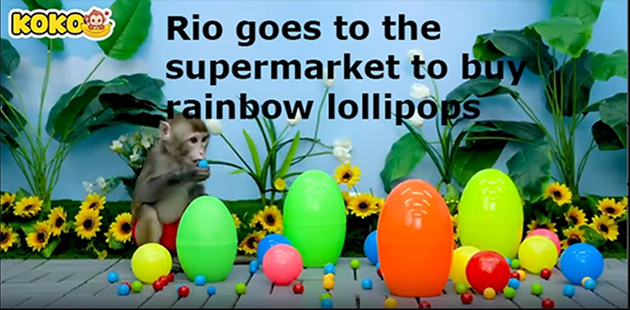 12 Rio goes to the supermarket to buy rainbow lollipops