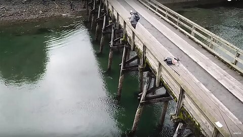 Insane Fishing Off A Bridge Watching Coho Attacking Baits Like Piranhas