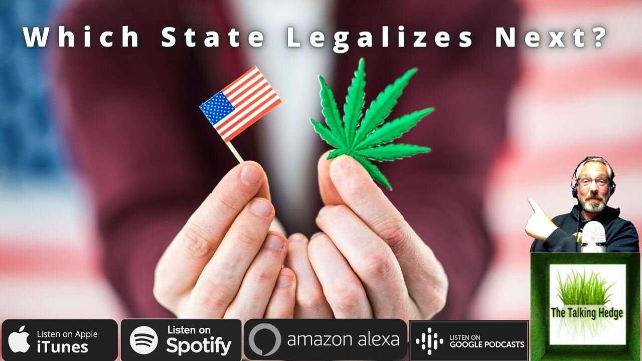 A Guide To #Cannabis Legalization In The US