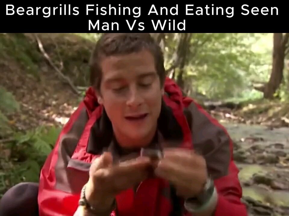 Beargrills Fishing And Eating Seen Man Vs Wild
