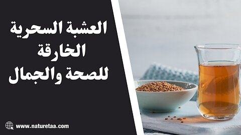 السر الرباني الذي يجعلك لن تستغني عن هذه العشبه