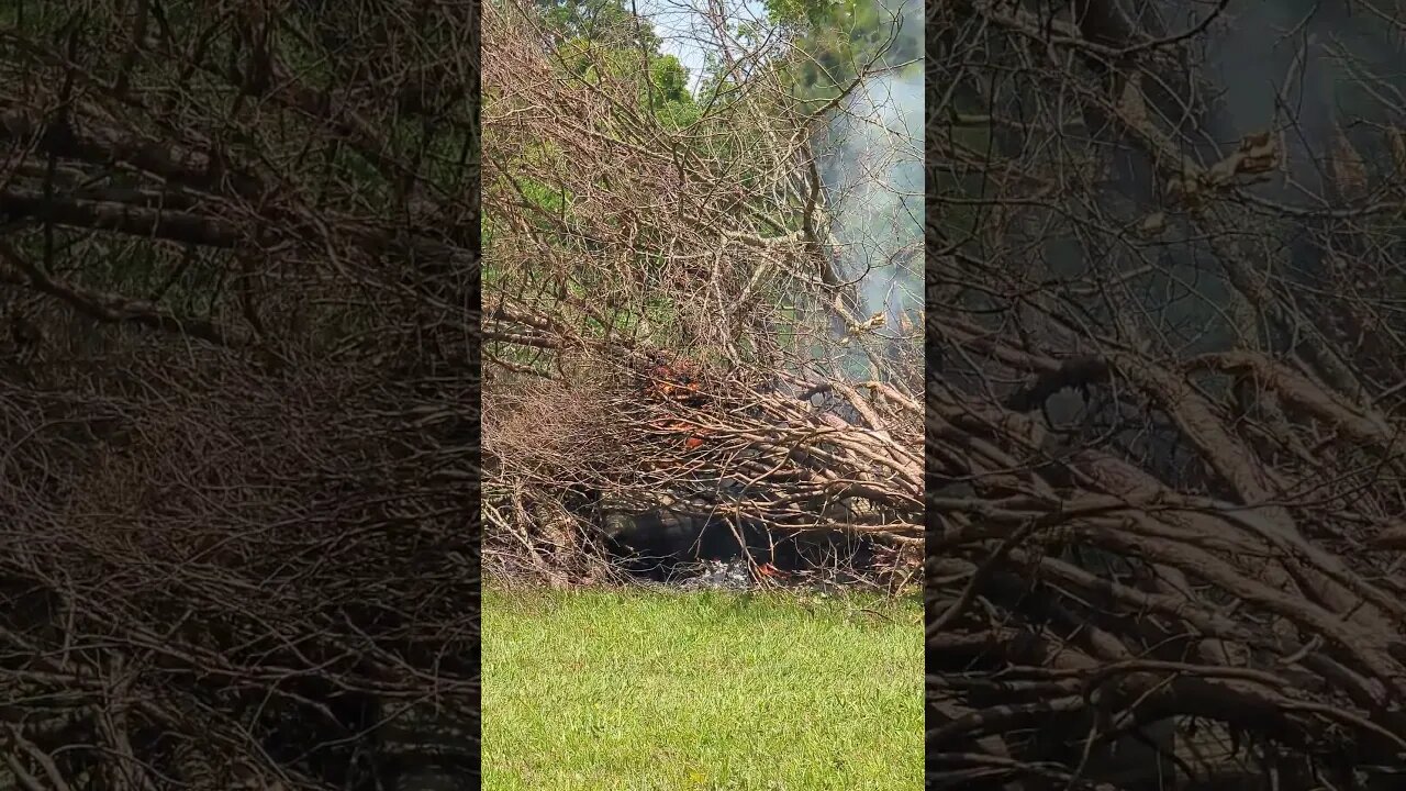 Crazy Brush Burn