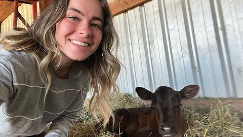 A New Surprise Added To The Homestead