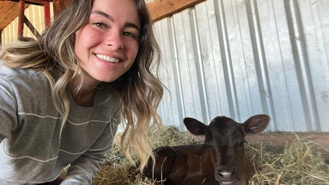 A New Surprise Added To The Homestead