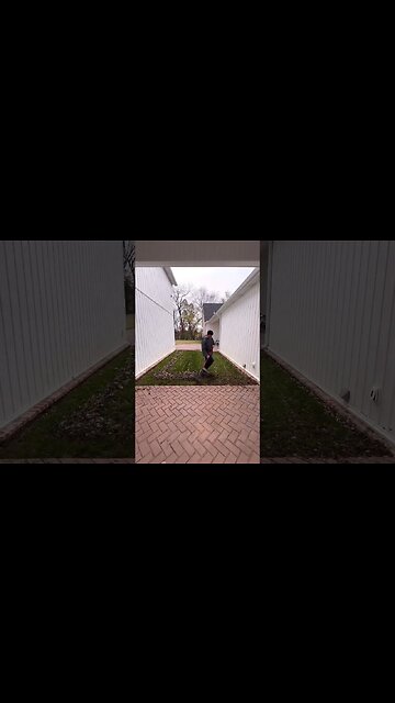 Alley Lawn Leaf Cleanup