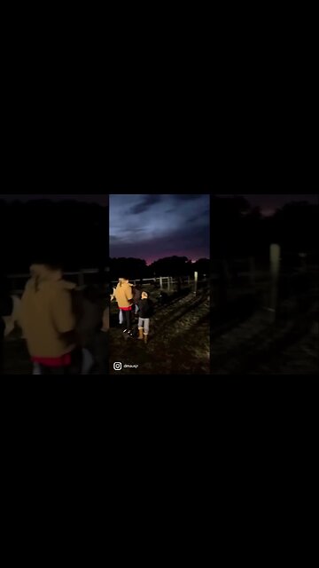 Christmas PonyRide Fail #shorts #fail #failarmy