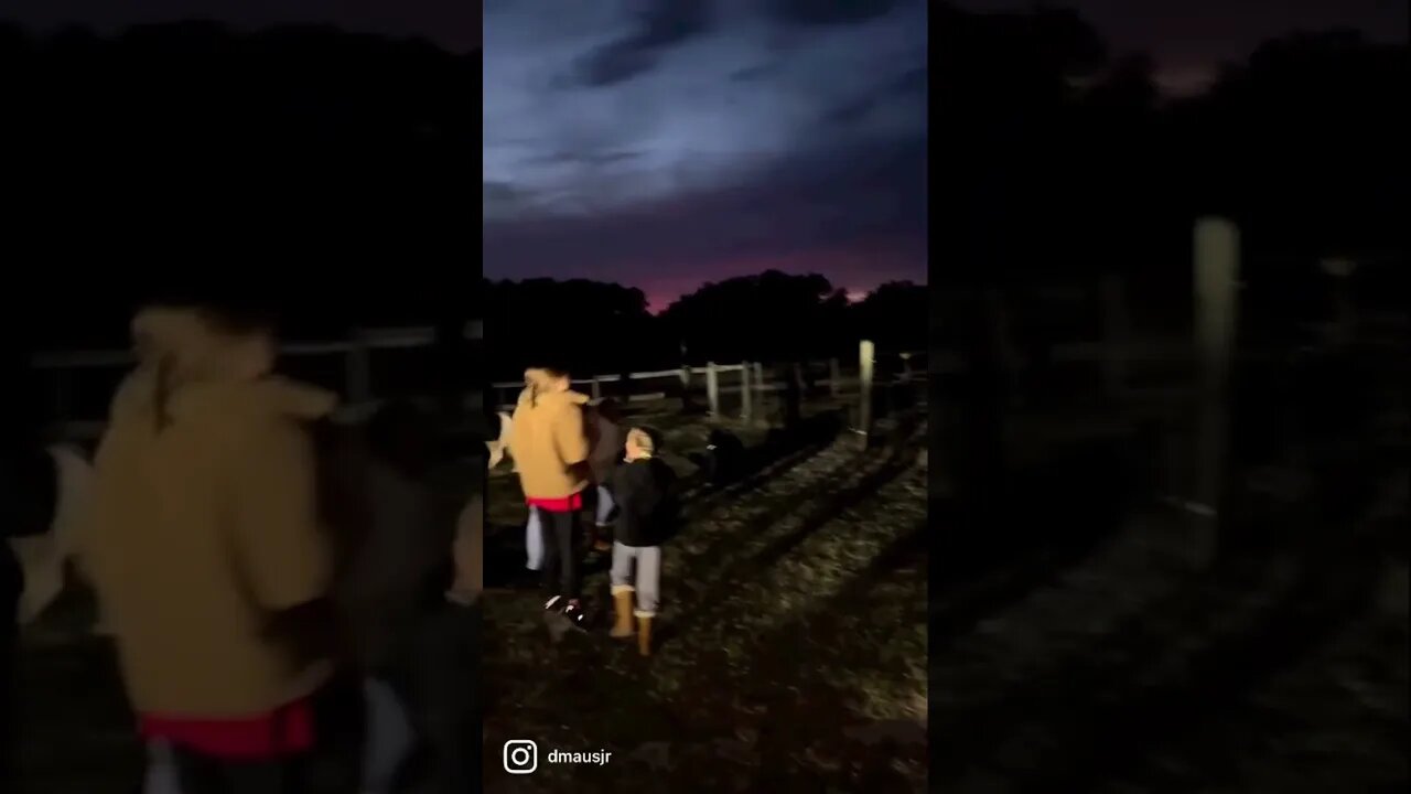 Christmas PonyRide Fail #shorts #fail #failarmy