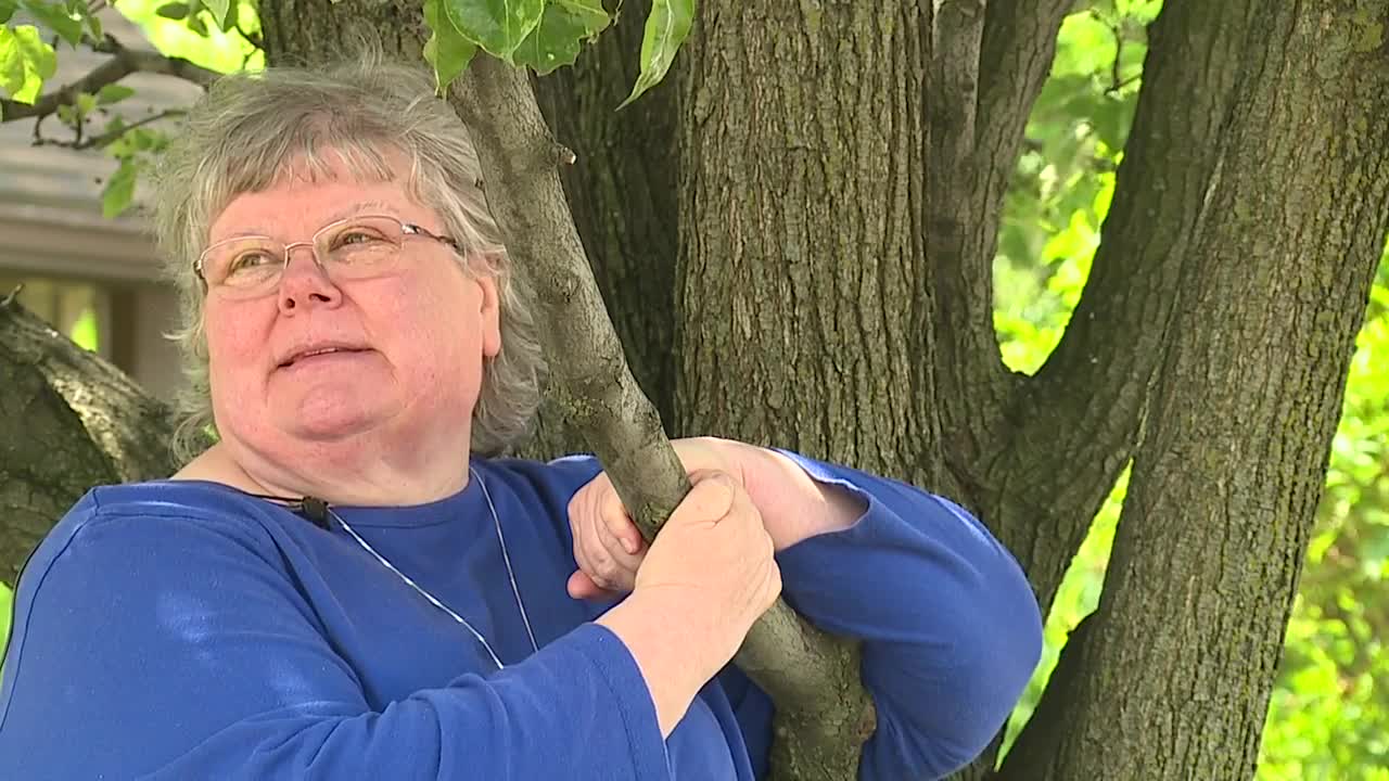 A Cleveland woman is guarding a tree on Clark Avenue against crews trying to cut it down