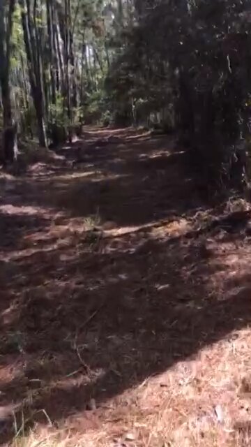 Hike n Bike 🚲 Trail to River