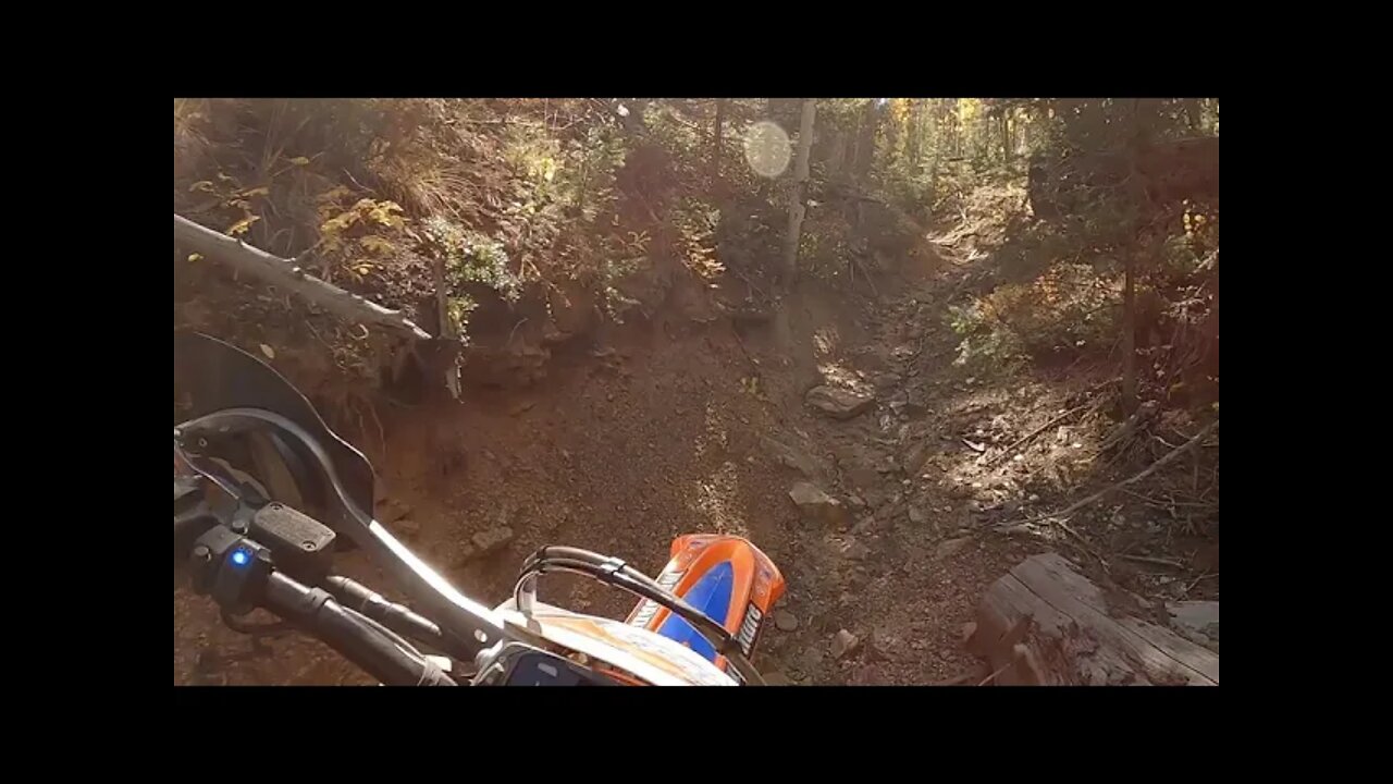 Logs, drops and great trails!