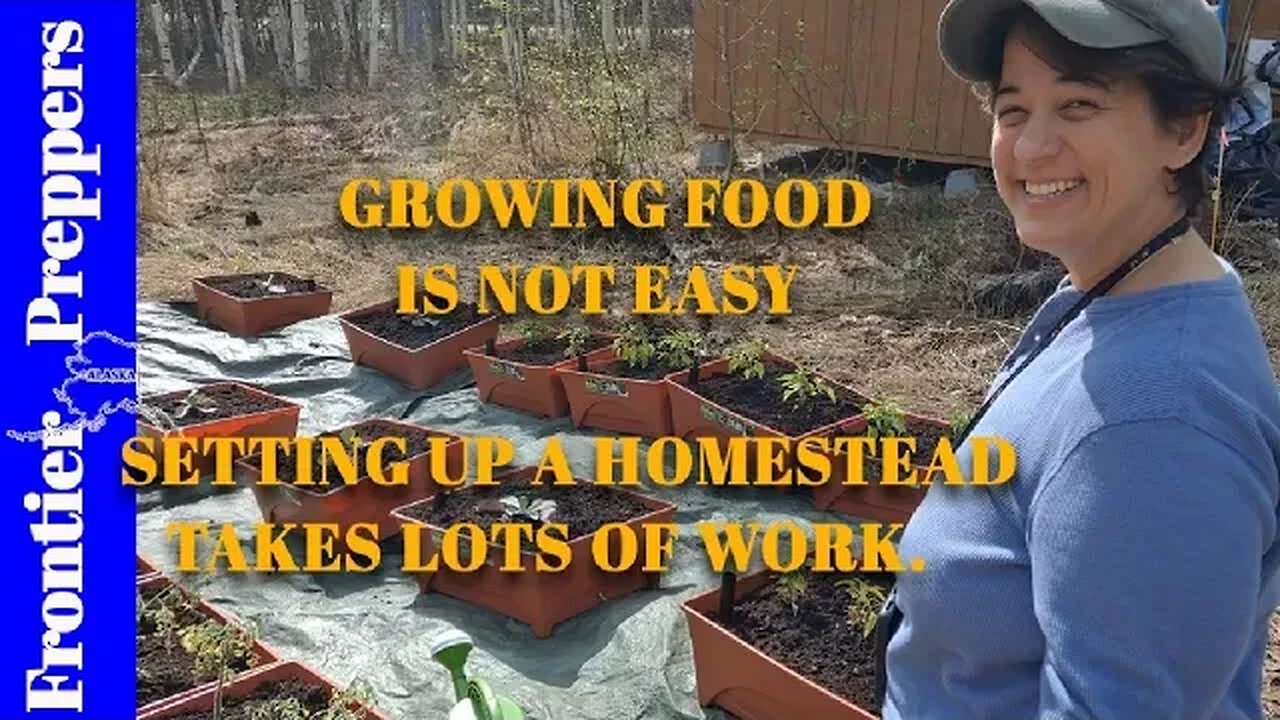 GROWING FOOD IS NOT EASY - SETTING UP A HOMESTEAD TAKES LOTS OF WORK.