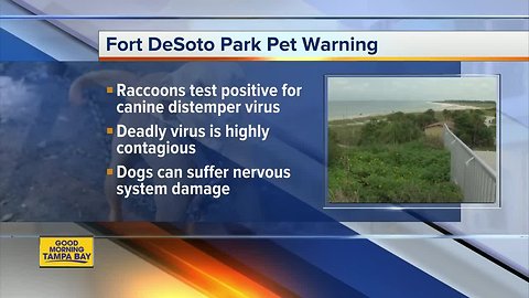 Dog owners warned not to bring pets to Fort DeSoto Park