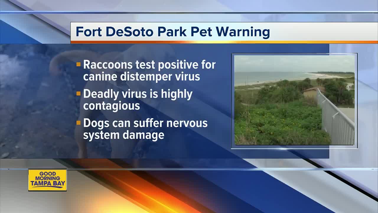 Dog owners warned not to bring pets to Fort DeSoto Park