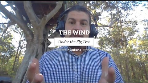 UTFT-08 The Wind