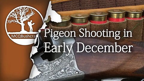 Bushcraft Hunting Pigeons in Early December
