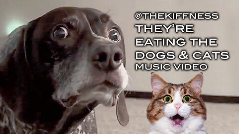 @TheKiffness - They're Eating The Dogs and Cats Music Video