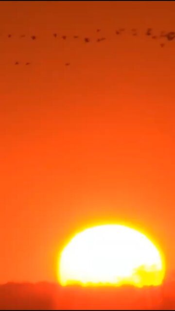 Evento dia 25/02/2024 na Paulista