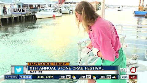 Annual Stone Crab Festival celebrates nine years in Naples - 7:30am live report