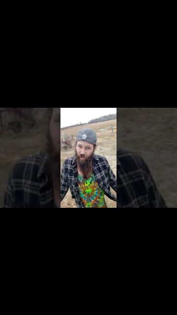 #ohhighbud #strangedanimal