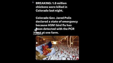 Governor of Colorado calls for the destruction of 1.8 million chickens last night