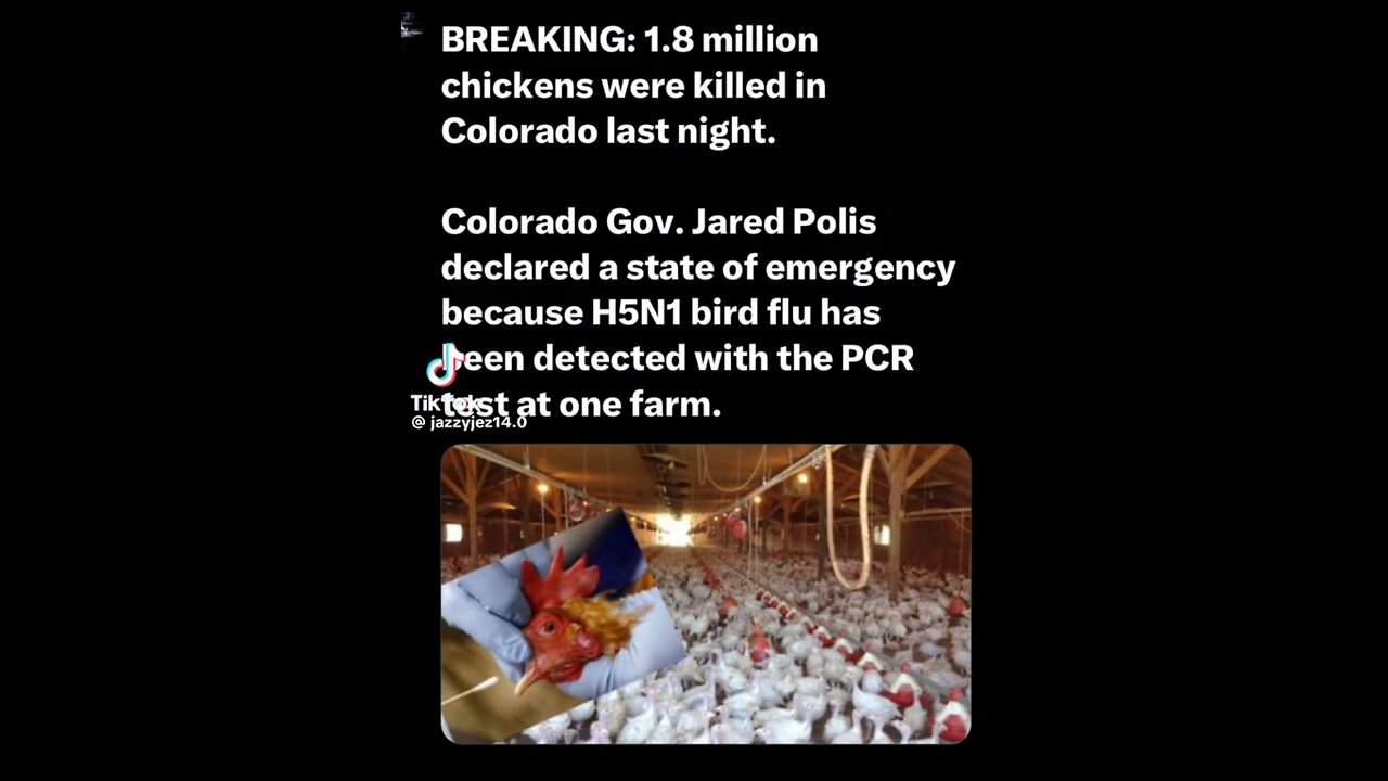 Governor of Colorado calls for the destruction of 1.8 million chickens last night