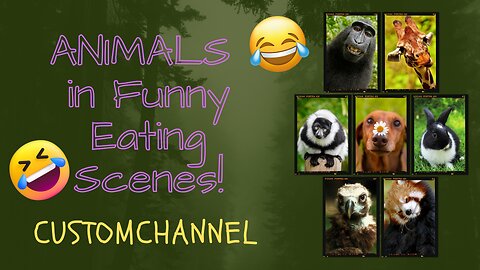 Snack Attack: Hilarious Animal Eating Moments!