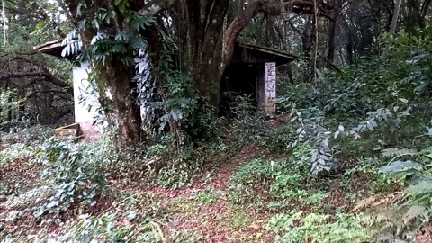 Casa abandonada no meio do mato num morro em Novo Hamburgo/RS perto da rádio união