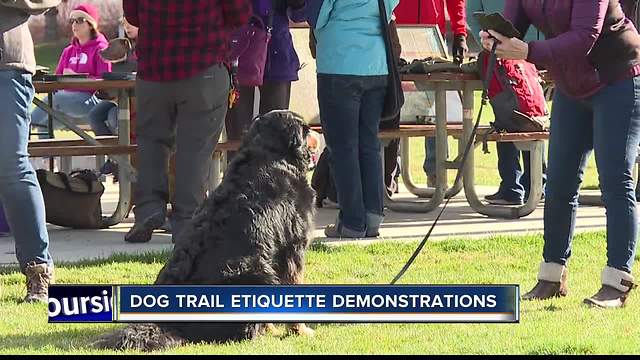 Dog trail etiquette demonstrations