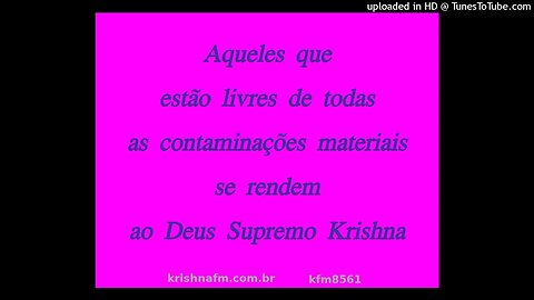 Aqueles que estão livres de todas as contaminações materiais se rendem ao Deus Supremo Krsna kfm8561