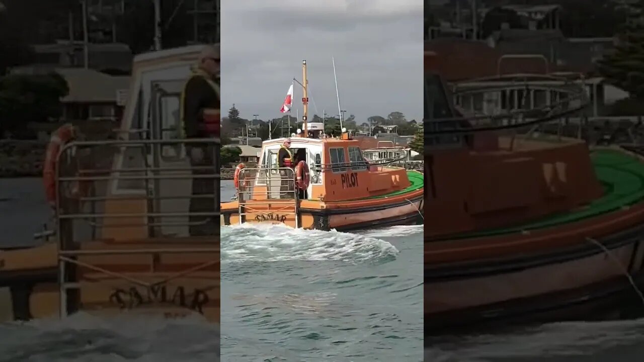 Pilot Boat Tamar. Port Of Devonport Tasmania. #trending #shorts #merchantnavy #lifeatsea #pilotlife