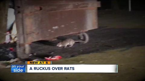 A ruckus over rats: North Pointe Apartments residents protest on-going rat problem