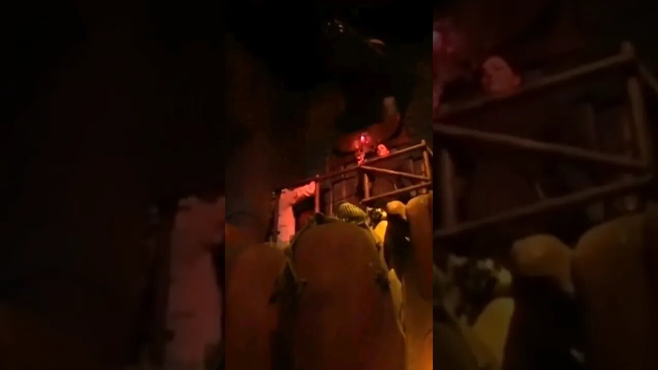 Disney's The Great Movie Ride Had Some Solid Advice | Don't Disturb The Treasure Of The Gods.