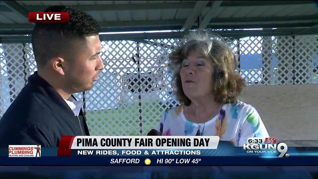 Pima County Fair bird show