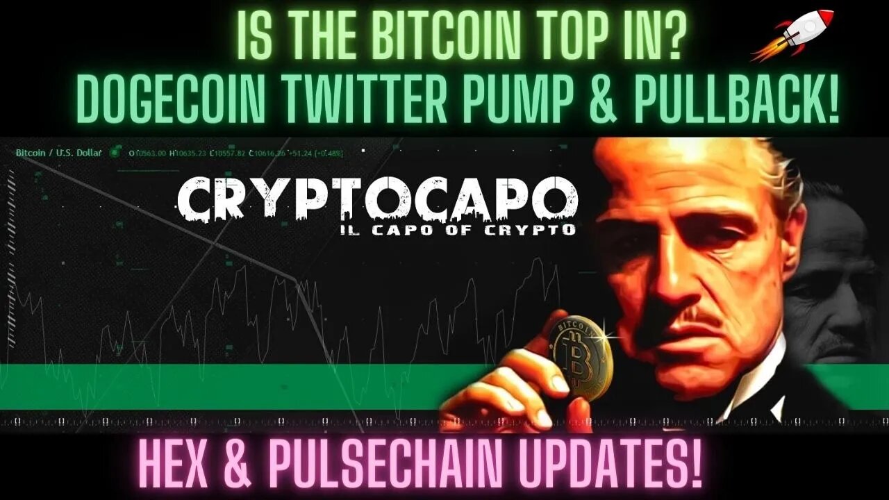 Is The Bitcoin Top In? Dogecoin Twitter Pump & Pullback! Hex & Pulsechain Updates!