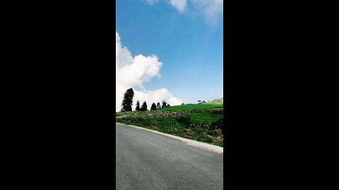 kashmir