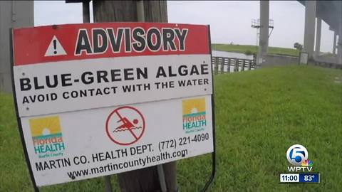 Algae Alert issued for pets