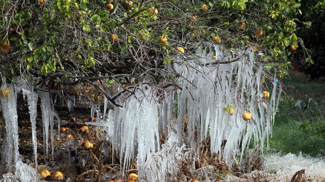 Dark Winter, Texas Freeze, Power Outages And Food Supply Issues!