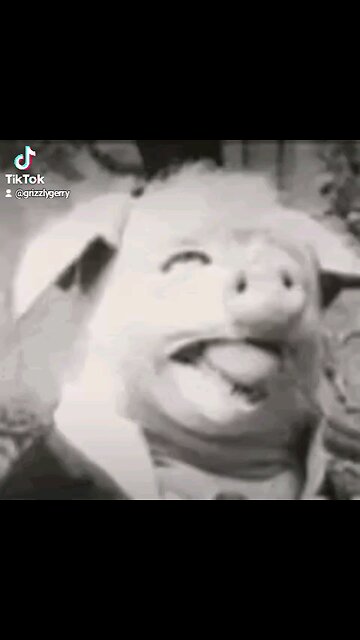 SLEEPY JOE IS JACKED UP AND READY TO GO