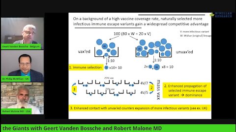 Meeting of the COVID-19 Giants with Geert Vanden Bossche and Robert Malone MD