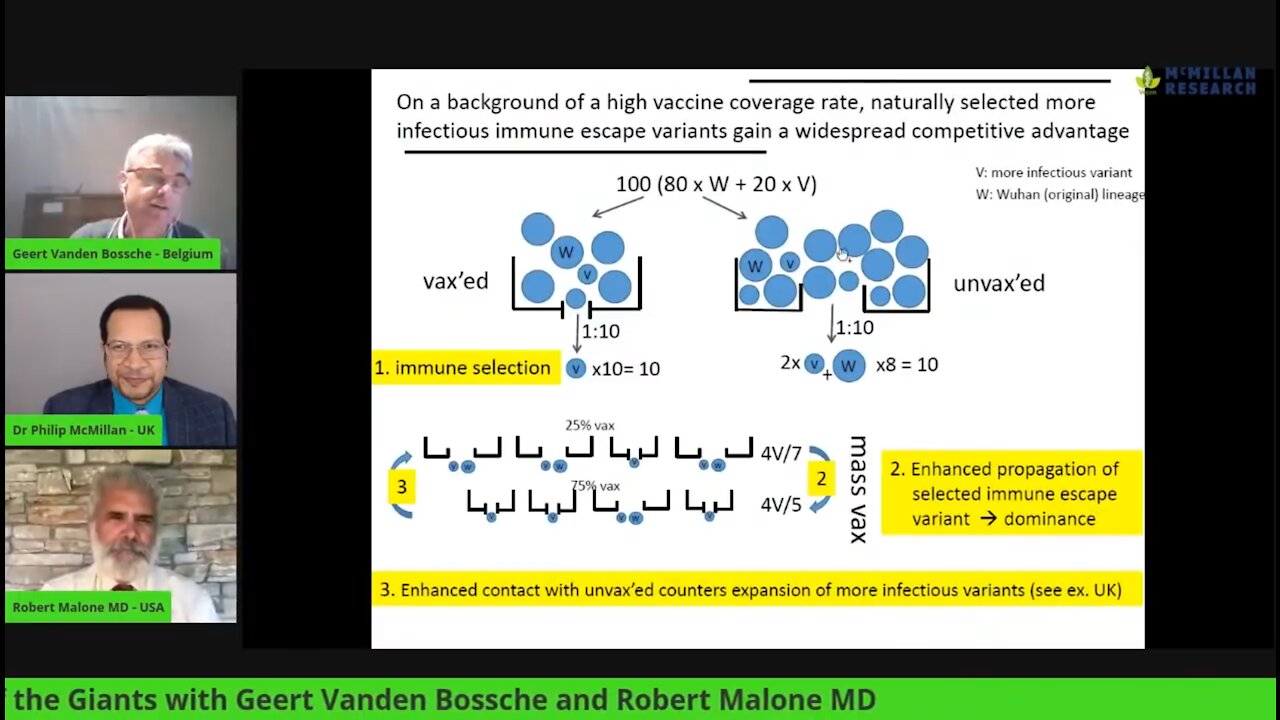 Meeting of the COVID-19 Giants with Geert Vanden Bossche and Robert Malone MD