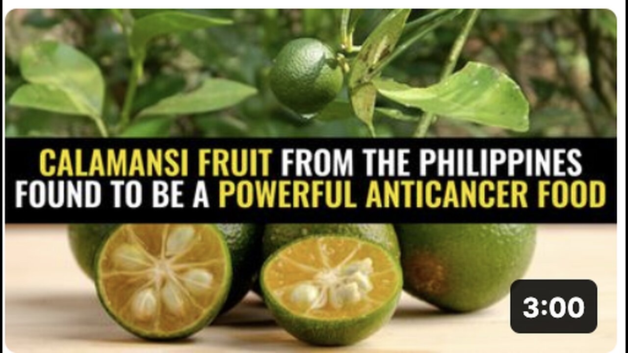 Calamansi fruit from the Philippines found to be a powerful anticancer food