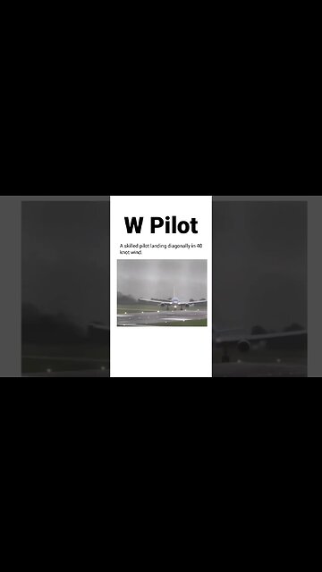 W pilot!👨🏼‍✈️ #shorts #pilot #plane #viral #subscribe #shortvideo #reels #viralreels #stunt #nice