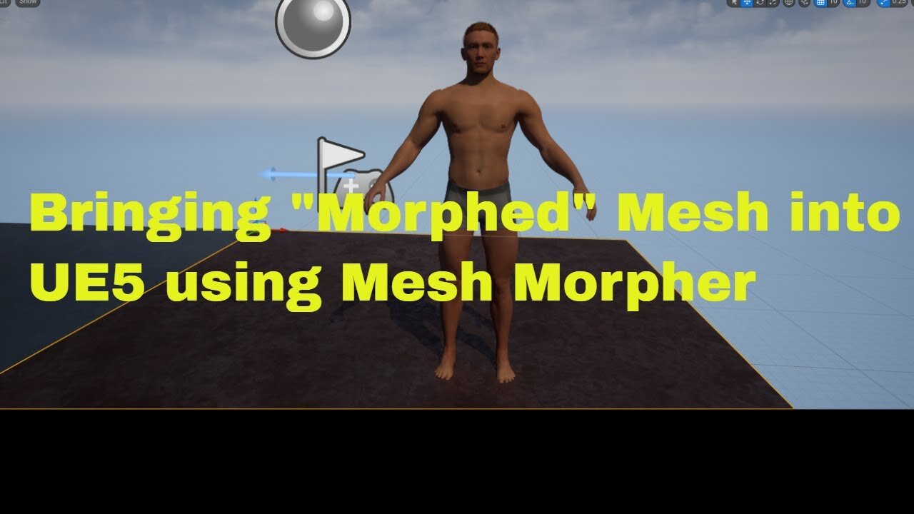 Bringing "Morphed" Mesh into UE5 using Mesh Morpher