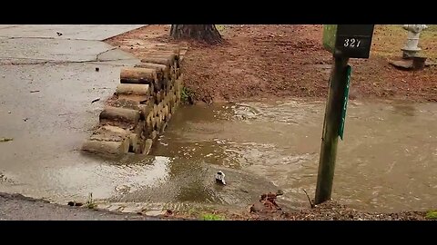 Street Flooding (3-24-2023)