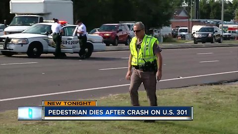 Pedestrian hit, killed by pickup on U.S. 301