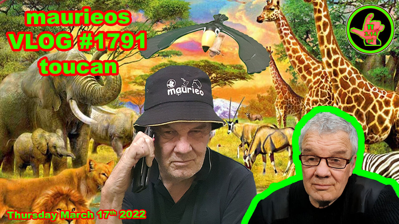 maurieos VLOG #1791 toucan