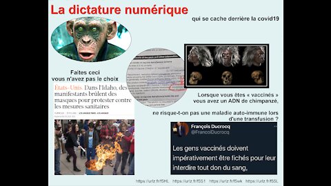 Vaccins anti-covid : une campagne de vaccination, ou une dictature numérique?