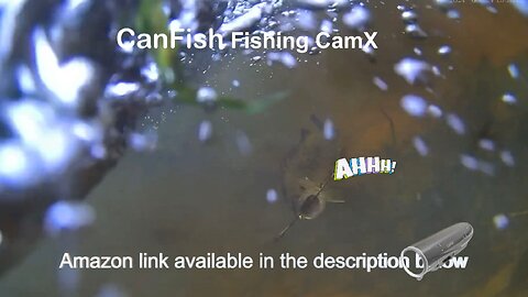 Catch the hidden part of fishing with the CanFish CamX HD Underwater Camera